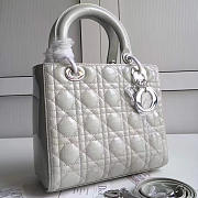 Fancybags Lady Dior 1618 - 1