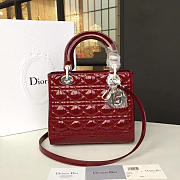 Fancybags Lady Dior 1625 - 1