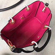 Fancybags Dior issimo - 6