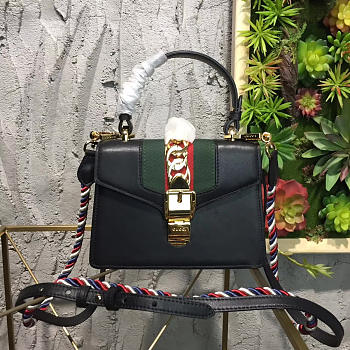Fancybags Gucci Sylvie 2520