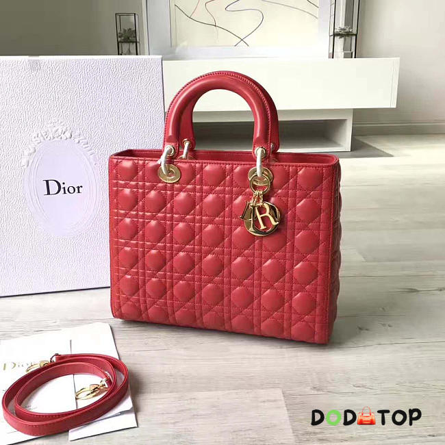 Fancybags Lady Dior 1565 - 1