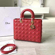 Fancybags Lady Dior 1565 - 1