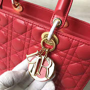 Fancybags Lady Dior 1565 - 4