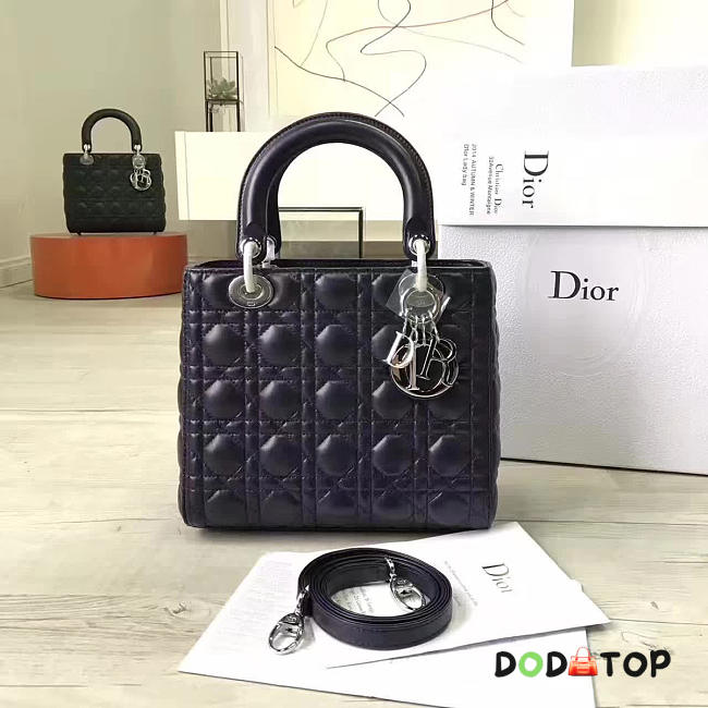Fancybags Lady Dior 1581 - 1