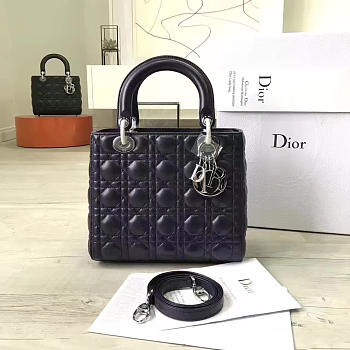 Fancybags Lady Dior 1581