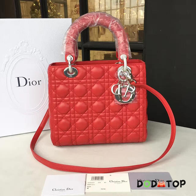 Fancybags Lady Dior 1619 - 1