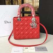 Fancybags Lady Dior 1619 - 1