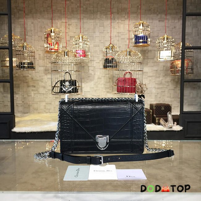 Fancybags Dior ama 1740 - 1