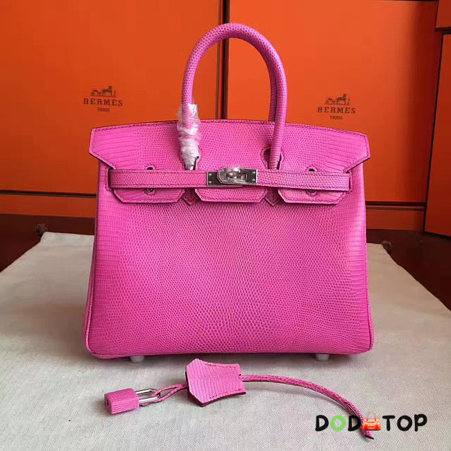 Fancybags Hermes birkin 2930 - 1