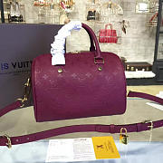 Fancybags Louis Vuitton SPEEDY 25 Red wine - 5