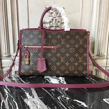 Fancybags Louis Vuitton Popincourt Bag 3842