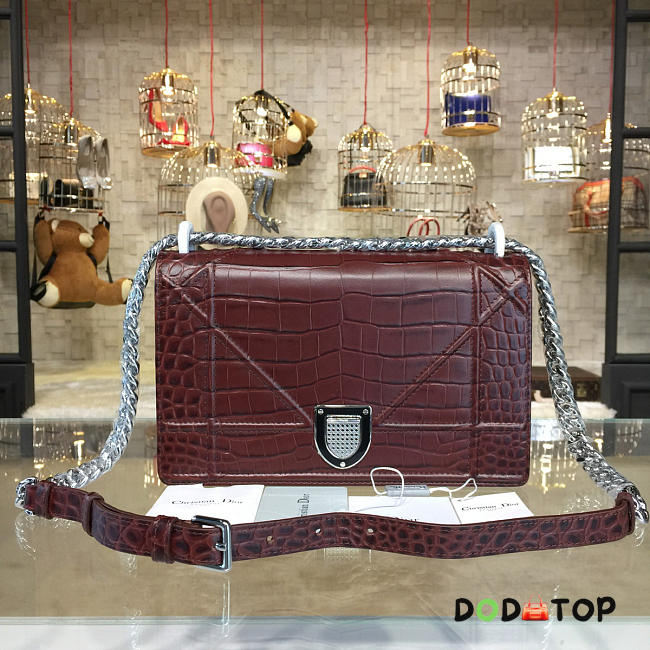 Fancybags Dior ama 1735 - 1