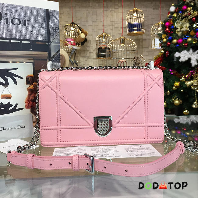 Fancybags Dior ama 1739 - 1
