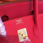 Fancybags Hermes birkin 2948 - 5