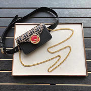 Fancybags Fendi Multicolour leather belt bag CL005 - 1