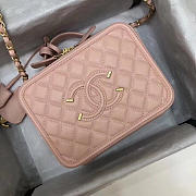 Chanel CC original grained calfskin medium vanity case A93343 pink - 1