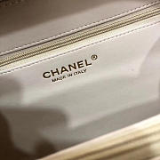 Chanel CC original grained calfskin medium vanity case A93343 apricot - 2