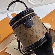 Fancybags Louis Vuitton CANNES Monogram Reverse M43986 - 6