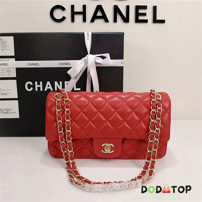 Chanel 1112 Lambskin Double Flap Bag With Gold/Silver Hardware 25cm Red - 1