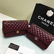 Chanel 1112 Lambskin Leather Flap Bag With Gold/Silver Hardware 25cm - 4