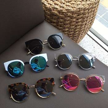 Dior Fashion Polarized Sunglasses