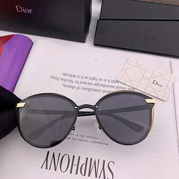 Dior polarized sunglasses Classic sunglasses Classical circle frame
