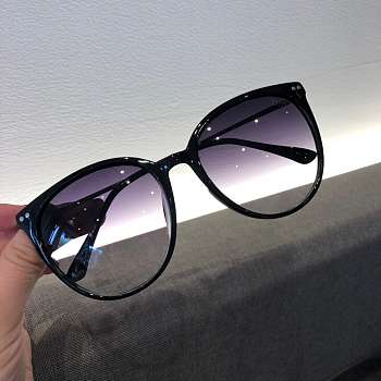 Dior Fashion Polarizing Lady Sunglasses