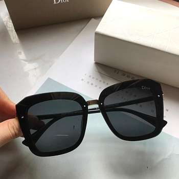 Dior Fashion Polarizing Lady Sunglasses 001
