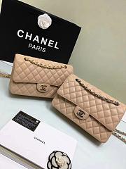 Chanel 1112 Caviar Calfskin Double Flap Bag With Gold/Silver Hardware 25cm Beige - 1