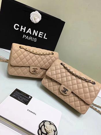 Chanel 1112 Caviar Calfskin Double Flap Bag With Gold/Silver Hardware 25cm Beige
