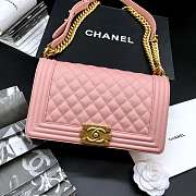 Chanel Leboy bag Caviar 25cm Pink - 1