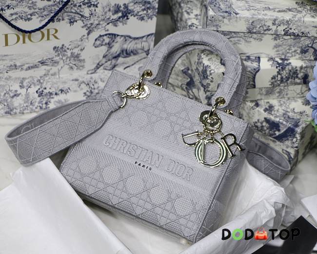 Lady Dior in Gray - 1