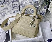Fancybags Lady Dior with gold hardware - 1