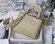 Fancybags Lady Dior with gold hardware - 5