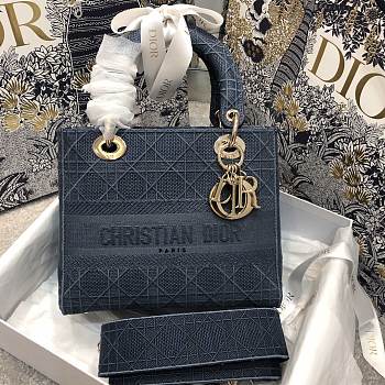 Fancybags Lady Dior with gold hardware 24cm