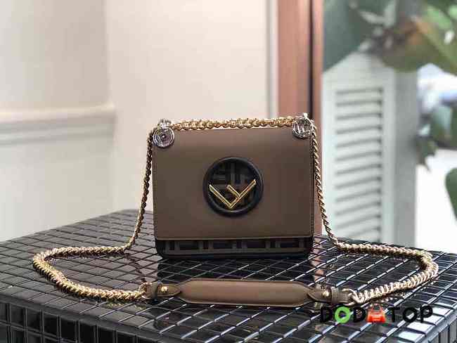 Fancybags Fendi Kani Brown - 1