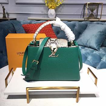 Louis Vuitton Capucines PM Bag Taurillon Leather N95383