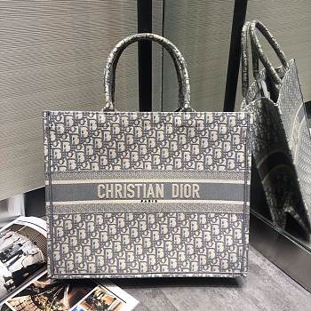 Fancybags-01 Dior Book Tote 
