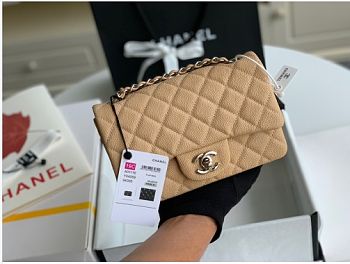 Chanel flap bag 20cm in beige with silver hardware