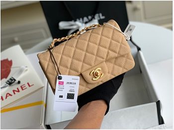 Chanel flap bag 20cm in beige with gold hardware