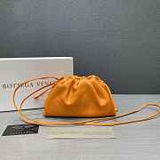 Bottega Veneta Pouch Bag in Orange 002 - 1