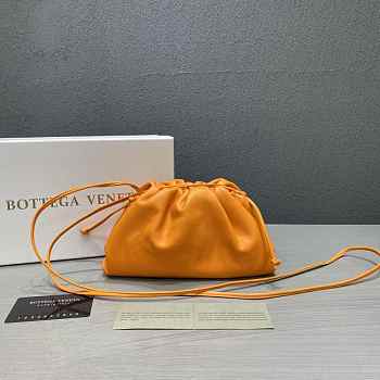 Bottega Veneta Pouch Bag in Orange 002