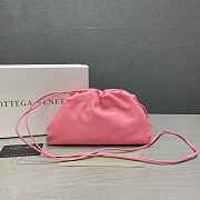 Bottega Veneta Pouch Bag in Pink 005 - 1