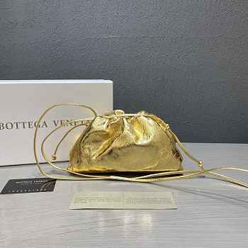 Bottega Veneta Pouch Bag 015