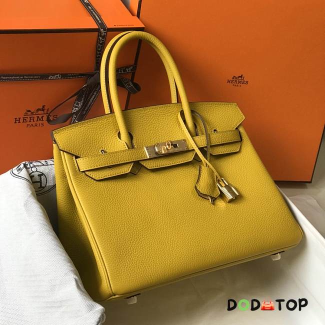 Fancybags Hermes Birkin in Yellow 003 - 1