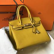 Fancybags Hermes Birkin in Yellow 003 - 1