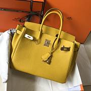 Fancybags Hermes Birkin in Yellow 003 - 4