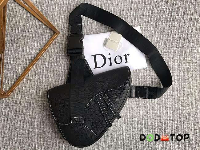 Dior saddle bag 03 - 1
