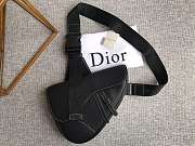Dior saddle bag 03 - 1