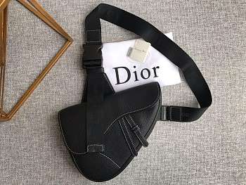 Dior saddle bag 03